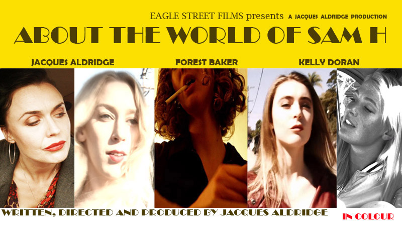 About the World of Sam H